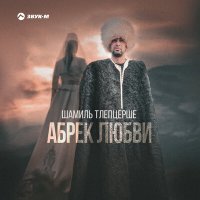 Скачать песню Шамиль Тлепцерше - Абрек любви