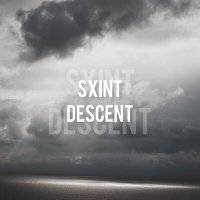 Скачать песню SXINT - DESCENT