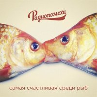 Скачать песню Радиопомехи - Моя звезда