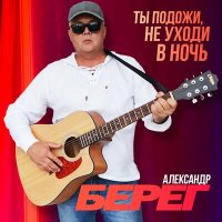 Скачать песню Александр Берег - Ты подожди, не уходи в ночь