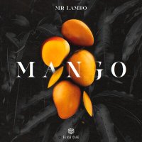 Скачать песню Mr Lambo - Mango (Dj Link Extended Edit)