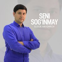 Скачать песню Eldor Haydarov - Seni sog'inmay
