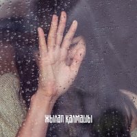 Скачать песню Дидар Динсламов - Жылап қалмашы