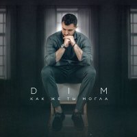 Скачать песню DIM - Как же ты могла