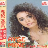 Скачать песню Ayşe Mine - Erkek Milleti