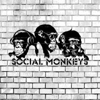 Скачать песню Social Monkeys - Безумие