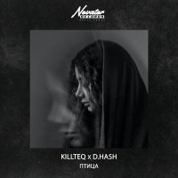 Скачать песню Killteq & D.Hash - Птица