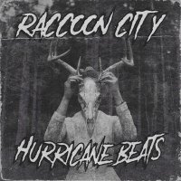 Скачать песню Hurricane Beats - Raccoon City