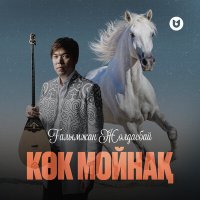 Скачать песню Ғалымжан Жолдасбай - Көк мойнақ