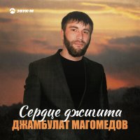 Скачать песню Джамбулат Магомедов - Сердце джигита