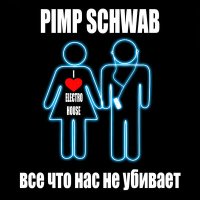 Скачать песню Pimp Schwab - Всё. что нас не убивает (Extended Club Mix)