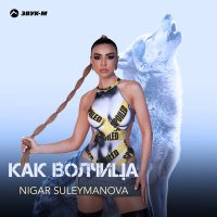 Скачать песню Nigar Suleymanova - Волчица