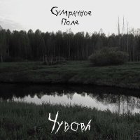 Скачать песню Сумрачное Поле - Не бойся