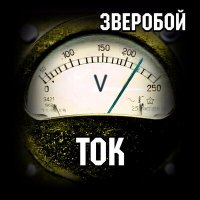 Скачать песню Зверобой - Не 20