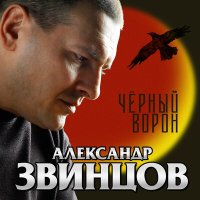 Скачать песню Александр Звинцов - Я освободился