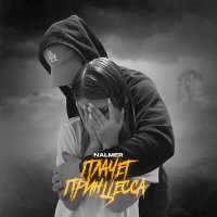 Скачать песню NALMER - Плачет принцесса