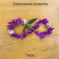 Скачать песню ТИГР'А - Долой саморазрушение