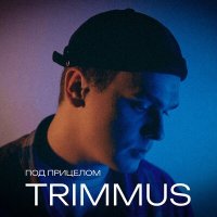 Скачать песню Trimmus - Под прицелом