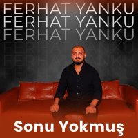 Скачать песню Ferhat Yanku - Sonu Yokmuş