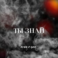 Скачать песню Xcho, GoR - Ты знай