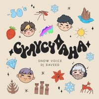 Скачать песню Snow Voice, DJ Daveed - Сулусчаана