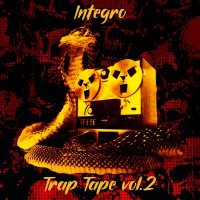 Скачать песню Integro - Enter the trap
