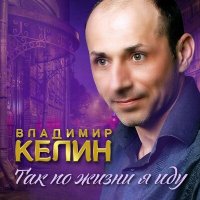 Скачать песню Владимир Келин - Отгуляю, отпою