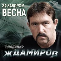 Скачать песню Владимир Ждамиров - Скажи зачем