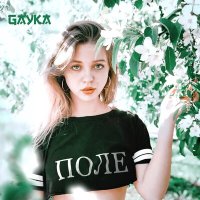 Скачать песню Gayka - Поле