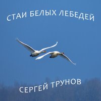 Скачать песню Сергей Трунов - Стаи белых лебедей