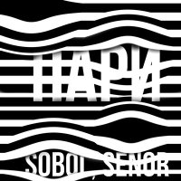 Скачать песню SOBOL, Senor - Пари