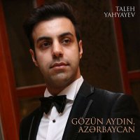 Скачать песню Taleh Yahyayev - Gözün Aydın Azərbaycan