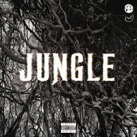 Скачать песню BATO, JEEMBO, SEEMEE - JUNGLE