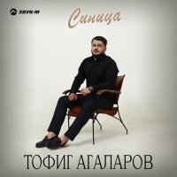 Скачать песню Тофиг Агаларов - Синица