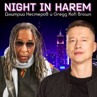 Скачать песню Дмитрий Нестеров, Gregg Kofi Brown - Night in harem