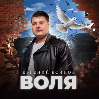 Скачать песню Евгений Есипов - Воля