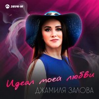 Скачать песню Джамиля Залова - Идеал моей любви