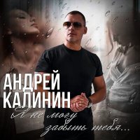 Скачать песню Андрей Калинин - Я не могу забыть тебя