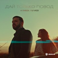 Скачать песню Алибек Гегиев - Дай только повод