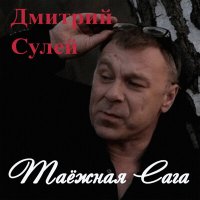 Скачать песню Дмитрий Сулей - Белый лебедь