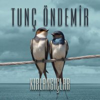 Скачать песню Tunç Öndemir - Kırlangıçlar