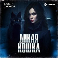 Скачать песню Аслан Суюнов - Дикая кошка