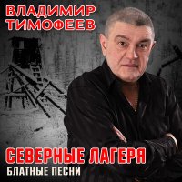 Скачать песню Владимир Тимофеев - Волюшка-воля