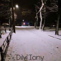 Скачать песню Dilvi Tony - Soul Wery