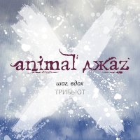 Скачать песню Animal ДжаZ, Аффинаж - Можешь лететь