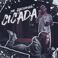 Скачать песню Cicada - Не засыпай