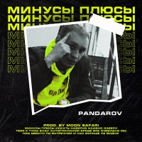 Скачать песню PANDAROV - Минусы Плюсы