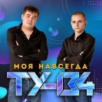 Скачать песню ТУ-134 - Подснежники