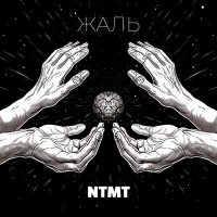 Скачать песню NTMT - Жаль