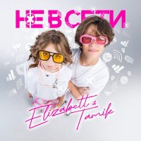 Скачать песню Elizabett, Tamik - Не в сети (Speed Up)